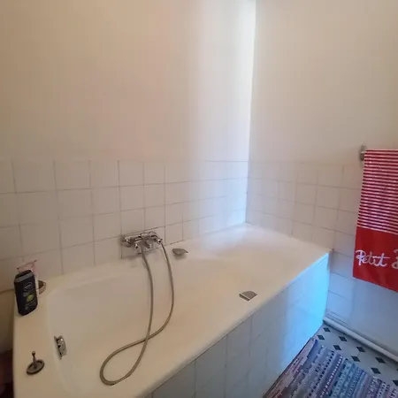 Appartement Palais Alexandre A Cannes
